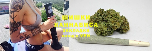 крисы Бронницы