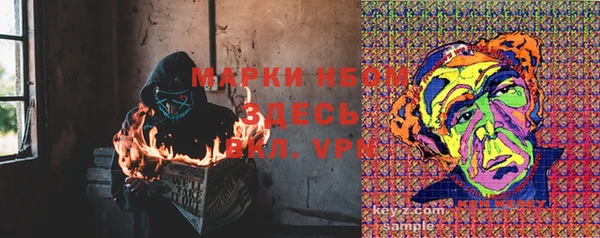 крисы Бронницы