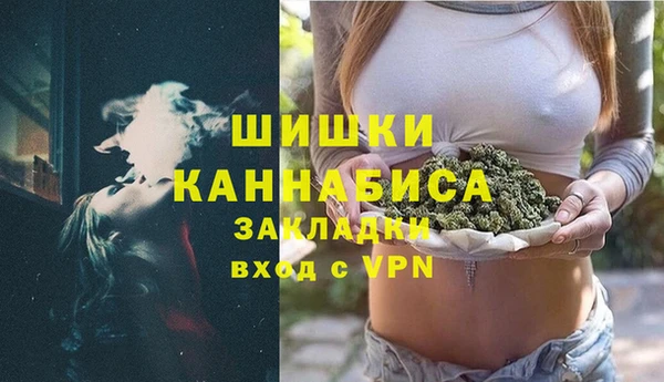 крисы Бронницы