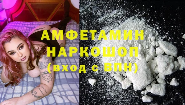 крисы Бронницы