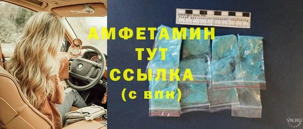 крисы Бронницы